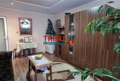 Ampoi 1, Alba Iulia