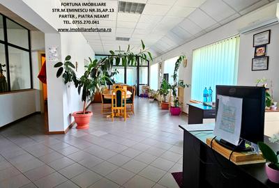 Spațiu industrial, 868 mp în Sud-Est