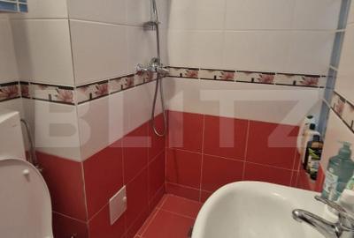 Casa de vanzare, cu 3 camere, 95 mp,  zona Craiter - 13