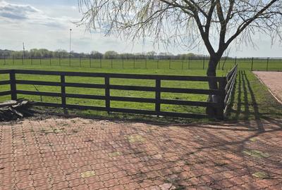 Fermă Zootehnică de Vânzare 6 Ha | Vaci și Oi | Grajd si Saivane | Calugareni | - 11