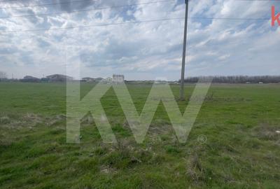 TEREN INTRAVILAN 1000 MP CARCEA - ZONA HANUL CU PONEI - 6