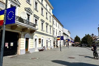 Zona Centrala, str. Eroilor, 22 mp, parter - 1