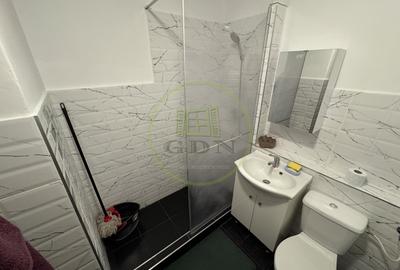 Apartament decomandat cu 2 camere | Parter | Str Tudor Vladimirescu, Tractorul - 8