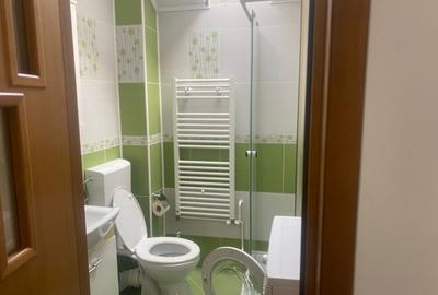 Vila  spațioasă de închiriat în centrul Brașovului - 7