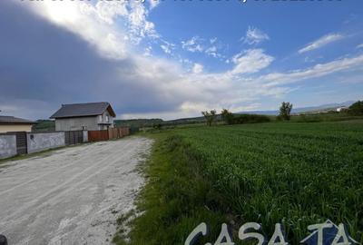 Terenuri, Balesti (3404mp), Slobozia (250mp-500mp) - 3