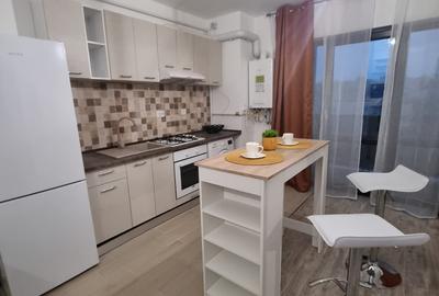 420euro/luna, apartament 2 camere open space, Tudor Vladimirescu-Iulius Mall - 4