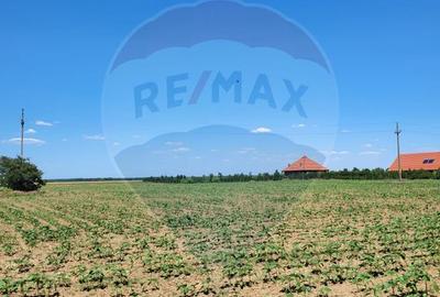 Teren intravilan 5,000 mp Peris IF - 1