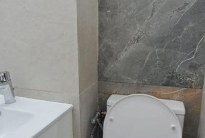 Apartament 2 camere -Piata Victoriei/Titulescu - 7