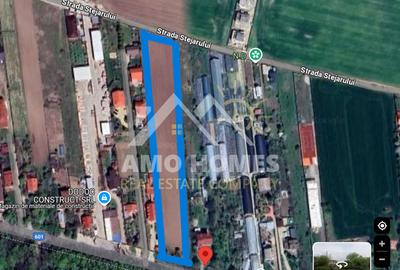 OPORTUNITATE -Teren de Vis la Marginea Pădurii – 5000 mp în Ciorogârla - 3