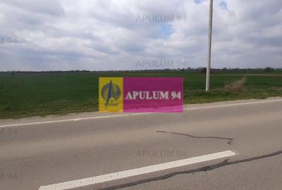 Teren Intravilan  cu front stradal la un Drum Principal langa București - 18