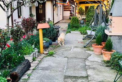 Vand casa ultracentra 199.000 euro - 15