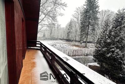 Casa de vacanta cu teren 2000mp Valea Avrigului - 4