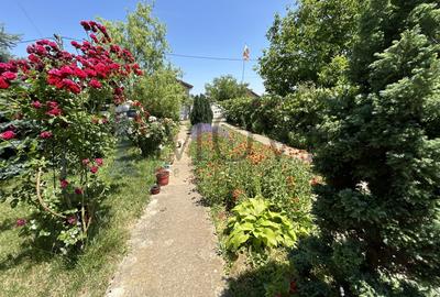 BELCIUGATELE- Casă de vacanță sau locuință permanentă - 30