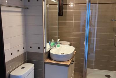 Apartament 2 camere mobiliat si utilat Grivitei - 4