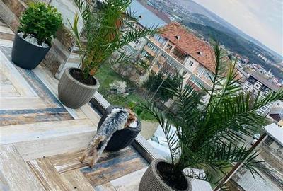 Penthouse Obcini | 240mp Totali | Terase  |  Parcare 3c-4342 - 16