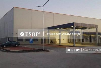 WDP Industrial Park Codlea, hale industriale, 0%comision, 2300-32870mp - 3