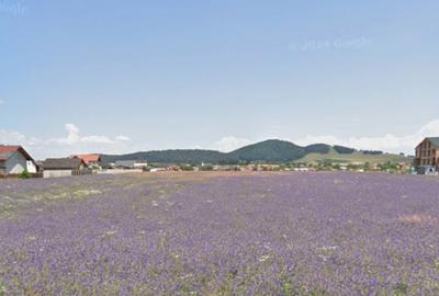 Loturi de casa 535mp cu utilitati, zona Primaverii, Sanpetru - 1