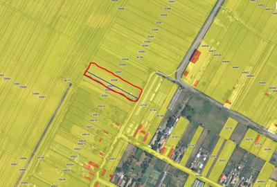 Teren agricol intravilan de 4400 mp, în Ciupercenii Noi