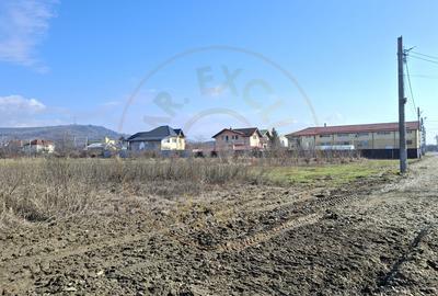 Vanzare Teren intravilan Stefanesti - Primarie str. Campului - 5