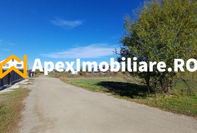 Corbeanca - Tamasi | Teren 1225mp, deschidere 44ml | Utilitati la 50m - 10