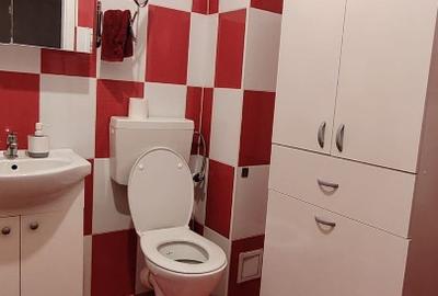 Inchirez apartament cochet Drumul Binelui - 4