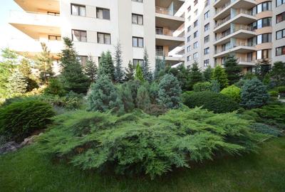North Area Lake View  | 2 camere spațioase cu vedere la grădina - 15