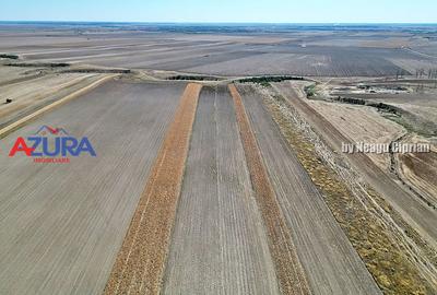 Teren agricol, 5HA, comasat, drum acces, Cateasca - 2