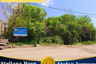 Teren 1712mp de vanzare in Horezu, Turcinesti, langa Pensiunea Arianna - 1