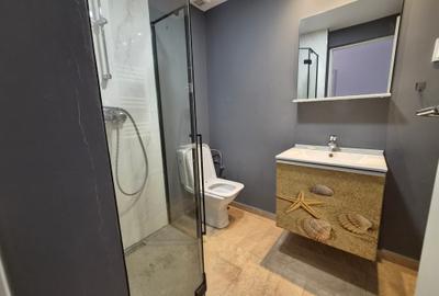 Inchiriere Apartament  3 Camere cu gradina de 100mp Iancu Nicolae - 20