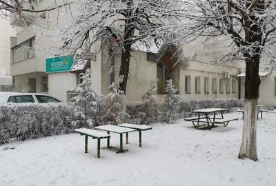 Birou, 526 mp în Central