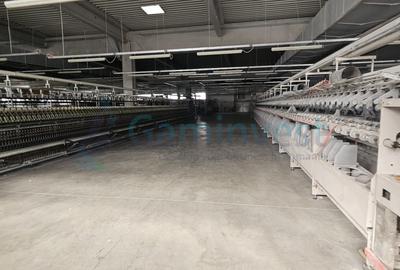 Hala Industriala de vanzare 6500 mp in Madaras la 30 km de Oradea, Bihor - 17