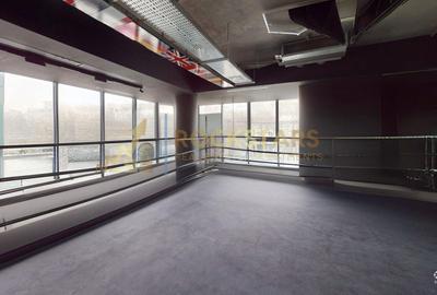 Spatiu birouri | Sala sport | Nicolae Caramfil - 46