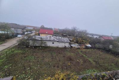 Vanzare Teren  Darza, Crevedia - 1