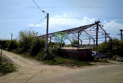 Teren pentru dezvoltare industriala/mixta Otopeni - langa Metrou - 8
