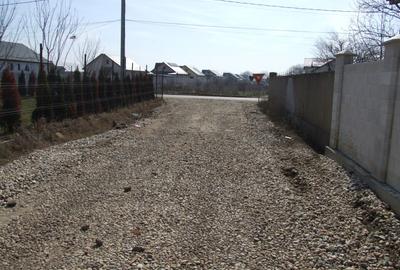 Domnesti-Ciocarliei(Afinului-Fragilor). - 1