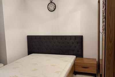 Centru Scafandri-apartament 2 camere parcare acoperita - 5