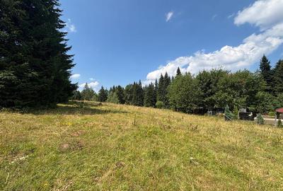 Teren Intravilan 1000MP Utilitati 3 Brazi Predeal - 2