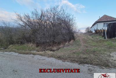 Teren Construcții intravilan de 2125 mp, în Henig