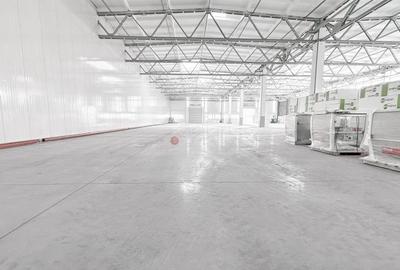 Depozitare - Logistic - Mica productie - 9