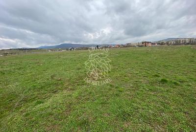Teren Intravilan 550 mp-ideal casa-Zona Zavoaie - 5