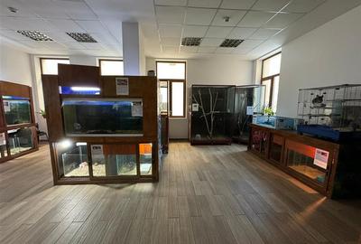 Cladire cu un aspect aparte de inchiriat in Centrul Focsaniului - 19