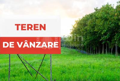 Teren intravilan 4087mp | 34 m front | Dambul Rotund | Zona Lombului - 1