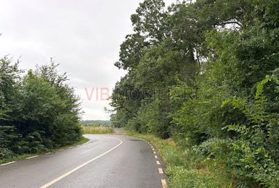 Teren Construcții intravilan de 1295 mp, în Ghermănești