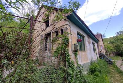 Sasca Montana | Oportunitate | Casa cu 230 MP Teren - 4