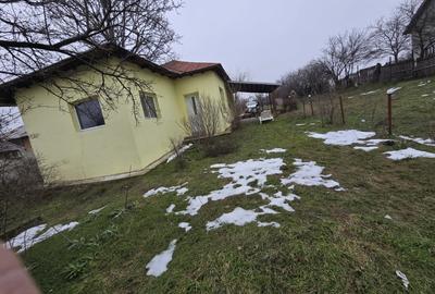 Casa cartojani giurgiu gaze apa centrala, direct proprietar - 6