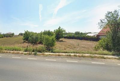 Teren intravilan 5000 mp Tamadau Mare – deschidere 35 metri la DN3 - 2