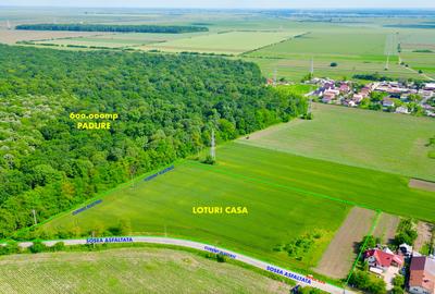 PROMOTIE! Loturi Valea Calugareasca langa padure,utilitati. RATE! PUZ FINALIZAT - 4