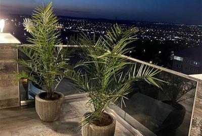 Penthouse Obcini | 240mp Totali | Terase  |  Parcare 3c-4342 - 23