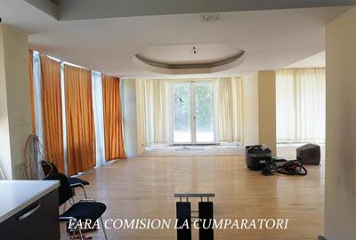 CACIULATA, VILA 736 MP, TEREN 1200 MP - 8