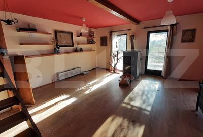 Casa individuala de vanzare, 125 mp, 2112 mp teren, în Deușu - 13